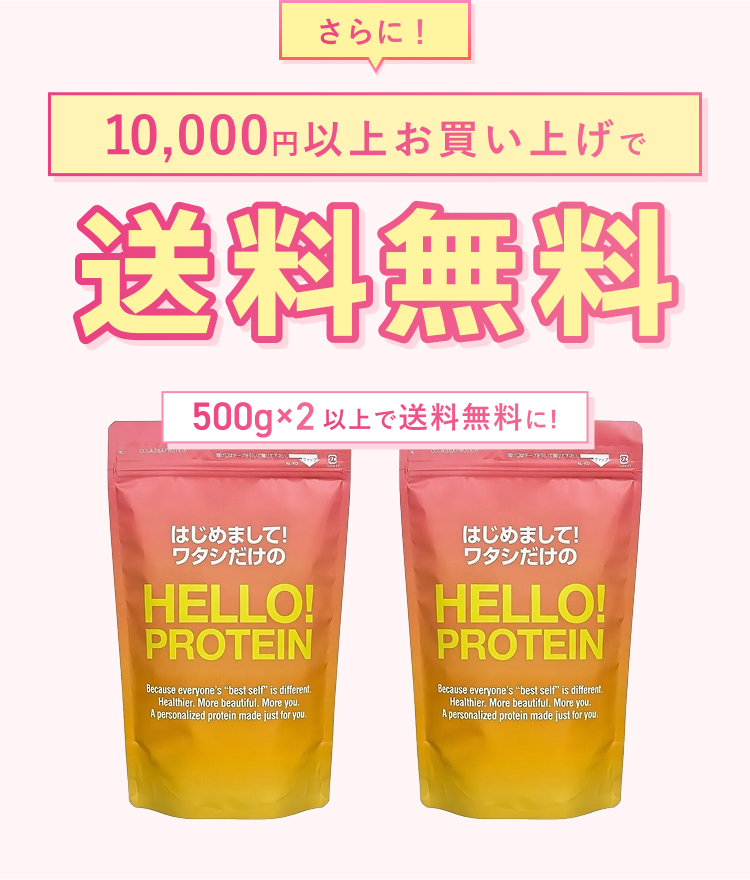 10,000円以上お買い上げで送料無料